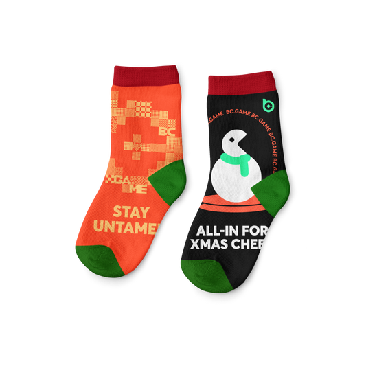 Winter Socks (2 Pairs Set)